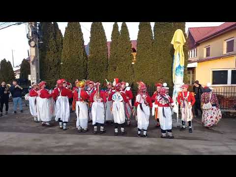 Căluții Ungureni 2023