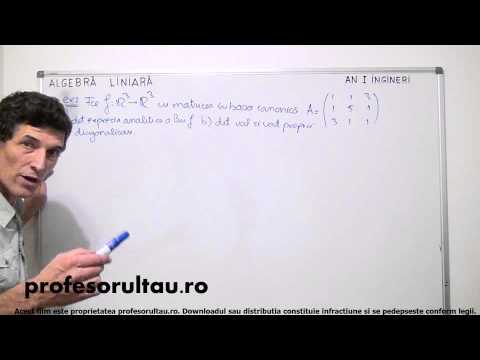 36   Valori si vectori proprii   partea 3 - profesorultau.ro