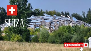 ZURICH🇨🇭Resumen Visita al Zoológico. VLOGS #zurich #suiza #switzerland #zoo #vlog #vlogs 