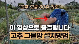 고추지지대, 그물망 설치 방법 5단계 총정리 A-Z | 2열재배 다수확, 통풍 잘되고, 작업을 편리하게 하는…