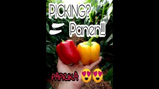 preview picture of video 'AICAT INDONESIA 9 : First day - Picking Pepper @Faran-Israel'