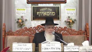 הרב יעקב ישראל לוגאסי | פרשת שמות | מוסאיוף (בית הכנסת מוסאיוף - ערוץ חדש) - התמונה מוצגת ישירות מתוך אתר האינטרנט יוטיוב. זכויות היוצרים בתמונה שייכות ליוצרה. קישור קרדיט למקור התוכן נמצא בתוך דף הסרטון