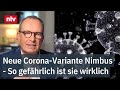 Neue Corona Variante Nimbus Wie Gefährlich Ist Sie Dr Specht Klärt Auf