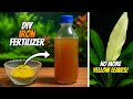 Iron Based Fertilizer For Aquarium Plants