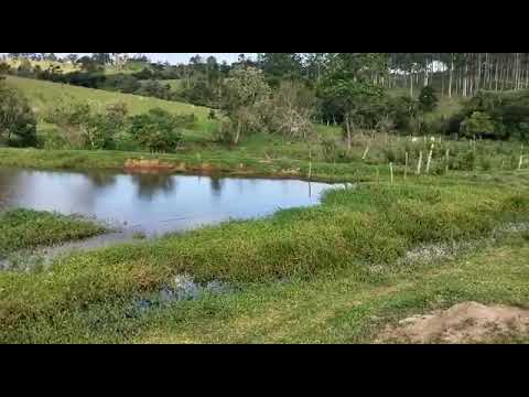 Sitio e Tatuí, 5 alqueires sem benfeitoria