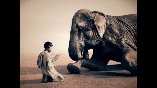 Rachel Yamagata - Elephants (lyrics)