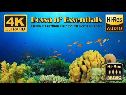 Bossa n' Essentials -  Downtempo Favourites - Underwarer Videos  (HiRes)(Flac) #bossanova