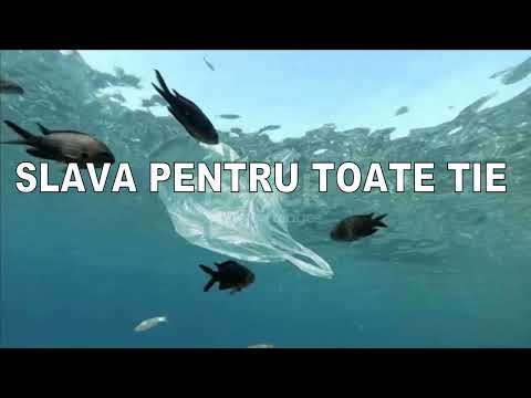 Slavă pentru toate ție - Nou