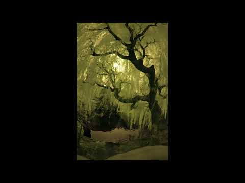 [FREE] abel31 + h jeunecrack + realo + luther type beat - "same" (p. 6min)