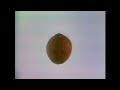 Sesame Street Nuts Vhs