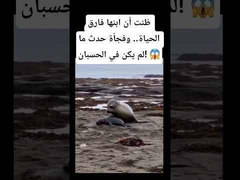 ظنت أن ابنها فارق الحياة.. وفجأة حدث ما لم يكن في الحسبان! 😱#shorts  #لايك #السعودية