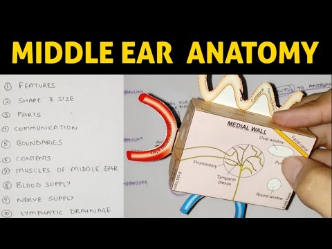 Middle Ear Anatomy | Part 1