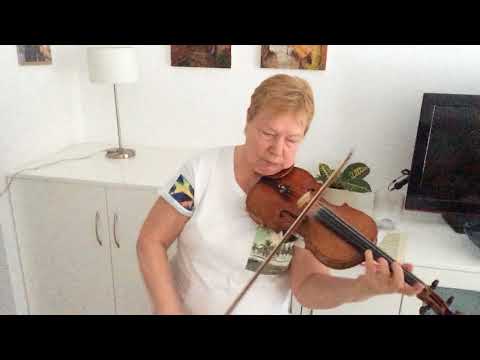 N. Minko - P. Castrucci concerto gmoll part I piece 2