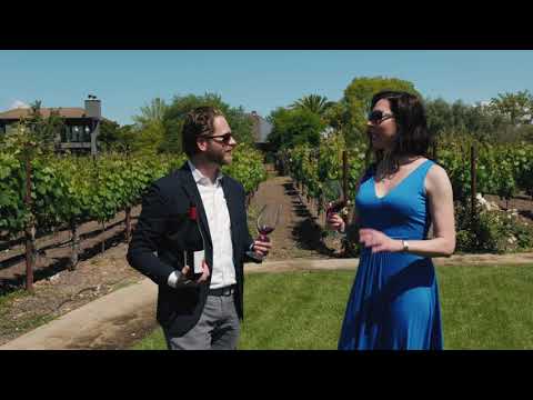 2018 Leonardo Bussoletti Ciliegiolo di Narni Brecciaro 05035 Umbria IGT