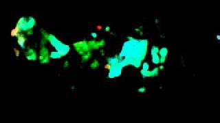 Release The Hostages