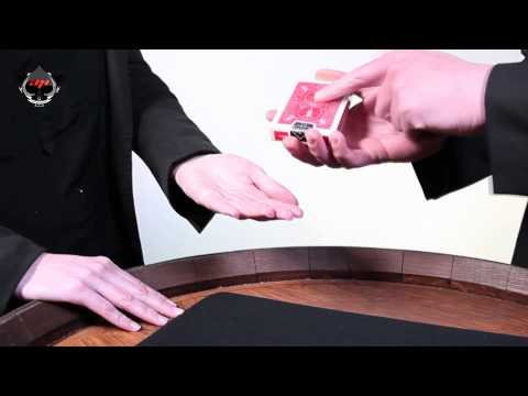 OFFSET by Sebastien Calbry / SEO MAGIC