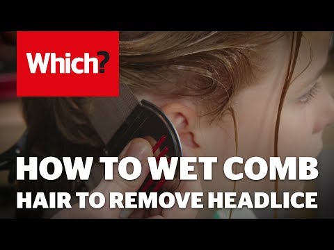 How to wet comb hair to remove headlice