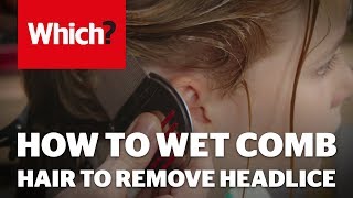 How to wet comb hair to remove headlice