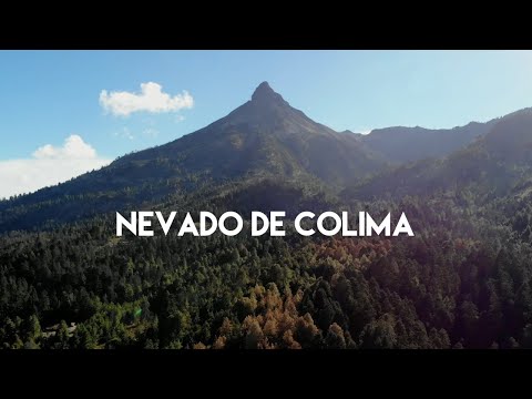 Colima Forests Conoce el Nevado de Colima | Nevado de Colima