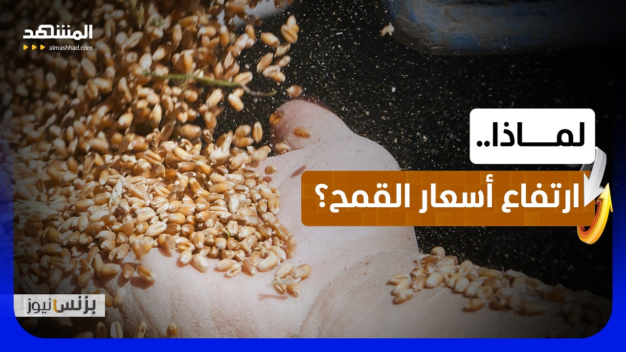 الليثيوم والكوبالت يتحولان إلى ثروة استراتيجية عالمية تتسابق عليها الدول - ب