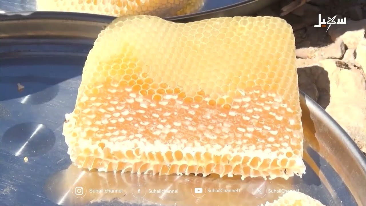 موسم اسقيني عسل جردان