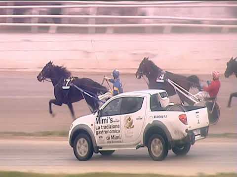 Trotto 29/01/2019 - 4ª corsa