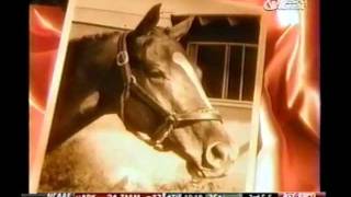 Affirmed & Alydar - Part 3 of 4