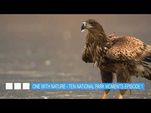 Egy a természettel - Tíz nemzetipark pillanatai 1. rész