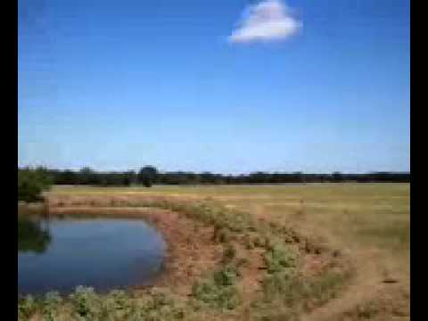 Texas Land For Sale, Wills Point, Van Zandt County 110.79 Acres