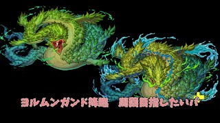 【パズドラ】ヨルムンガンド　超地獄級　周回目指したいパ