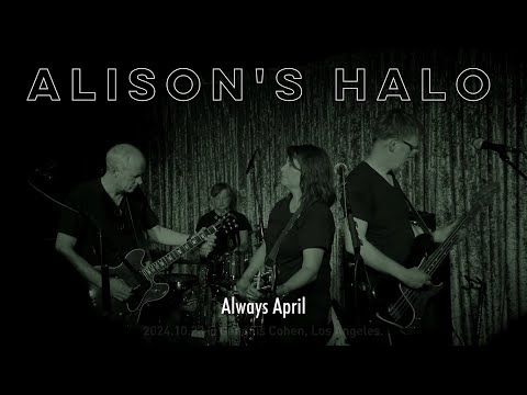 Alison's Halo - Always April #Live 2024.10.23