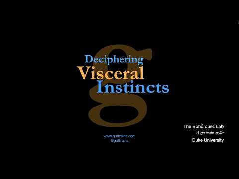 "Deciphering Visceral Instincts" by Diego Bohórquez