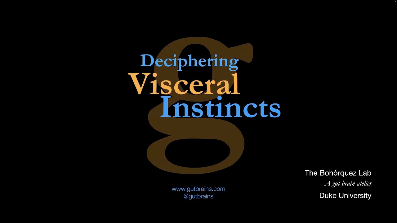 "Deciphering Visceral Instincts" by Diego Bohórquez