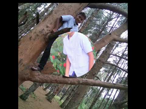 Praneel birthday video song