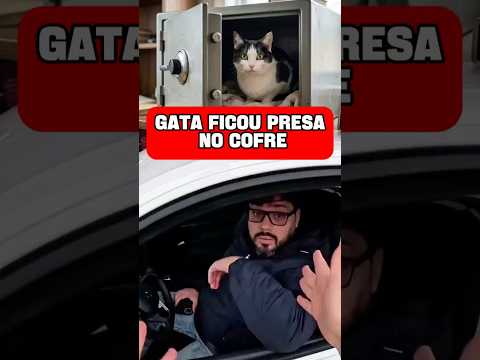 A GATA DO RAZUK FICOU PRESA NO COFRE #razuk #backstage