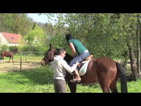 Picardie, France travel guide