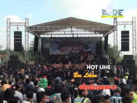 PANTURA LIVE PENGKOL-LUNGSEP NORMA SILVIA APEC AREA PENGKOL COMUNITY 2016