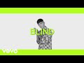 Blind - Cicatrici - prod. Big Fish (Lyric Video) Blind - Cicatrici - prod. Big Fish (Lyric Video)
