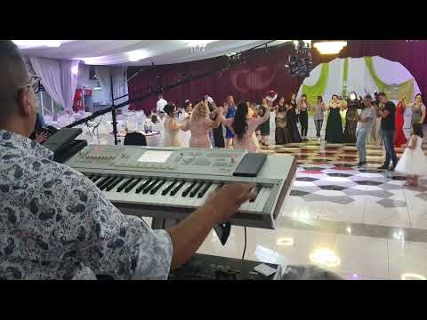 Sejko Pašovski razbija kako svira na svadbi!