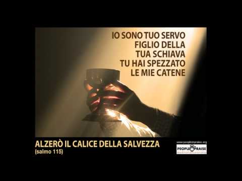 download lagu mp3 mp4 Il Calice Della Salvezza, download lagu Il Calice Della Salvezza gratis, unduh video klip Il Calice Della Salvezza