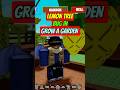 PATCHED LEMON TREE SEED Grow A Garden Roblox
