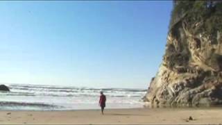 Sun Baby - The High Violets