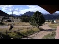 Ubiquiti UniFi Video Surveillance Camera Captures Elk Bugling