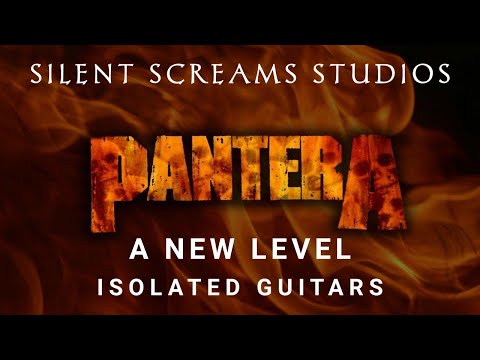 Pantera A New Level Isolated Guitars | RIP Dimebag Darrell | Silent Screams Studios