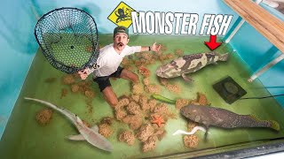 We ABANDONED Our Saltwater Pond… (Goodbye Pots & Pans)