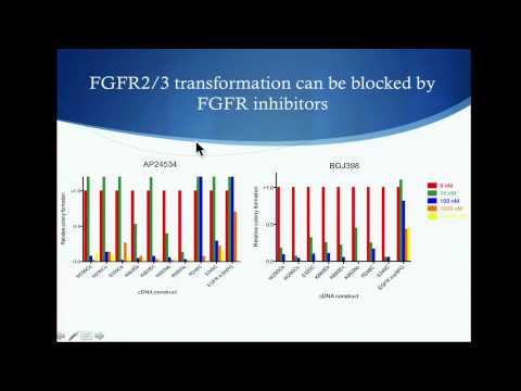 TCGA: FGFR2 and FGFR3 Mutations in Lung Squamous Cell Carcinoma - Rachel Liao