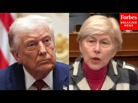 Video | 'I Am Concerned': Ross Rips Trump Firing Dem Members Of Privacy &amp; Civil Liberties Oversight Board