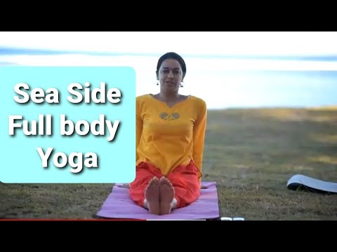 Everyday Yoga for all levels in english | Beginners Guide | Sea Side Yoga | 20 minute yoga for all