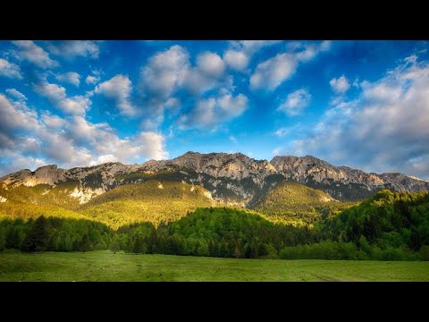 Pensiunea 3 Brazi Zarnesti, Zărneşti, Romania