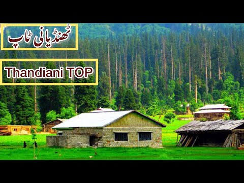 Peshawar to Thandiani Top Abadabad | Abad Abad | Mansoorkhan